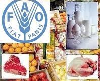 فائو:/-فراوانی عرضه، قیمت جهانی مواد غذایی را کاهش داد