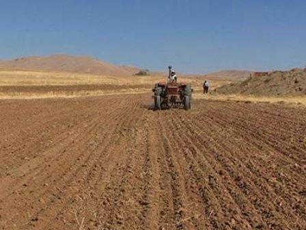 پایان عملیات کاشت غلات پاییزه در اراضی کشاورزی شهرستان چرداول