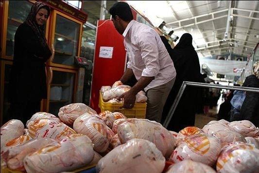 افزایش نرخ مرغ در بازار