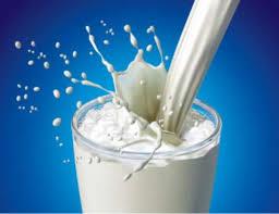 توزیع 400 هزار تن شیر در سال تحصیلی جدید