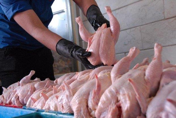 نرخ جدید مرغ و ماهی در بازار/قیمت مرغ به ۷۴۰۰ تومان رسید