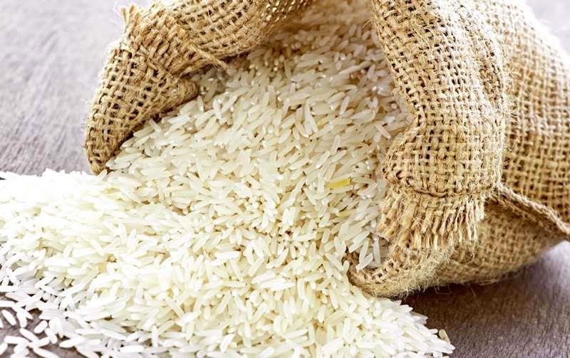 واردات با تأخیر برنج پرمحصول ایرانی کشت‌شده در آذربایجان به کشور/ استقبال کشاورزان ایرانی از کشاورزی فراسرزمینی