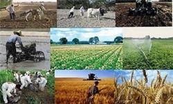 مهمترین گرفتاری حوزه کشاورزی نداشتن زیرساخت بازرگانی است