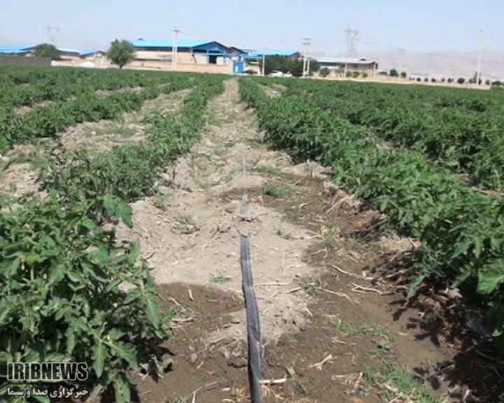 تجهیز 40 درصد زمین های کشاورزی اسدآباد به سامانه آبیاری نوین