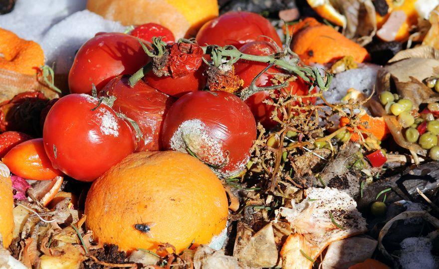 کاهش زباله‌های مواد غذایی راهکاری برای کاهش تغییرات آب و هوا