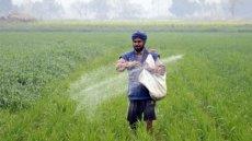 لطمه به میلیون ها کشاورز هندی با برداشته شدن تحریم‌های ایران