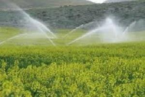 آبیاری نوین بخشی از زمین های کشاورزی استان