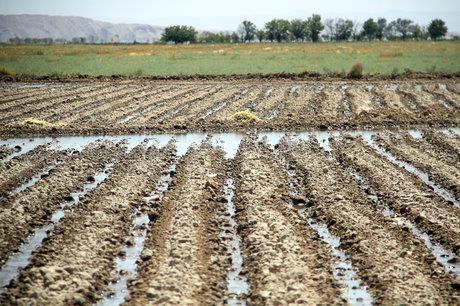 مصرف 90درصد منابع آبی خراسان شمالی در بخش کشاورزی