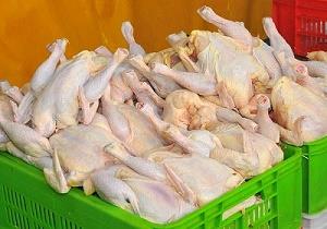 قیمت مرغ تا شب یلدا افزایش می‌یابد