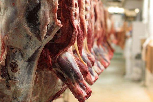 قیمت گوشت گوسفندی ۹۸ هزار تومان اعلام شد