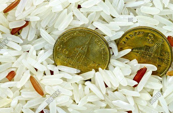 کاهش 50 درصدی هزینه کشت برنج با طرح نوسازی اراضی