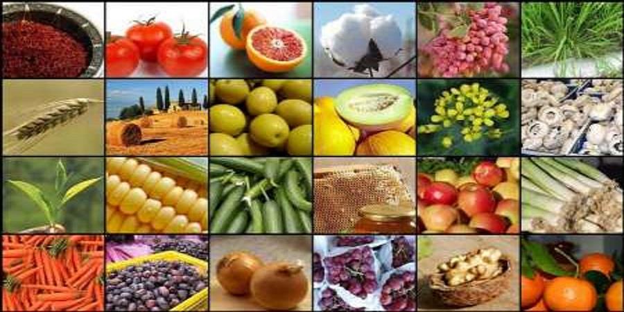رشد 20 درصدی صادرات صنایع غذایی کشور