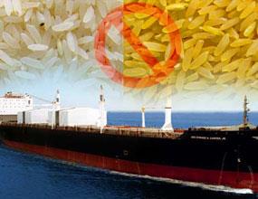 واردات برنج از پایان تیرماه ممنوع است