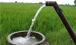 بهره‌وری آب کشاورزی در استان البرز با کشورهای اروپایی برابر است
