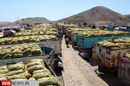 صادرات بیش از 660 هزار تن محصولات کشاورزی از استان کرمانشاه