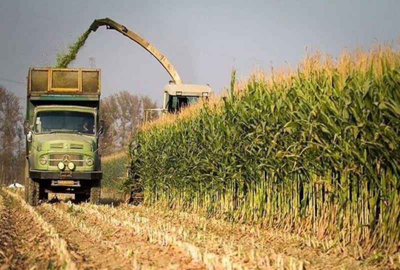 24 هزار و 150 تن محصول کشاورزی در حاجی آباد برداشت شد