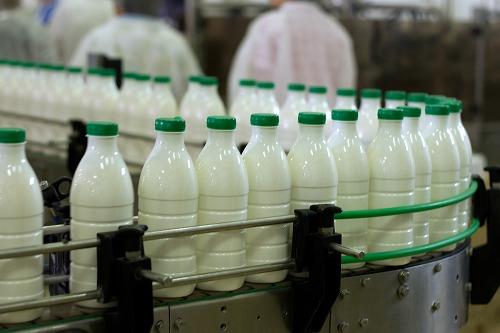 سالانه 18 هزار تن شیر در شهرستان شاهین‌دژ تولید می‌شود