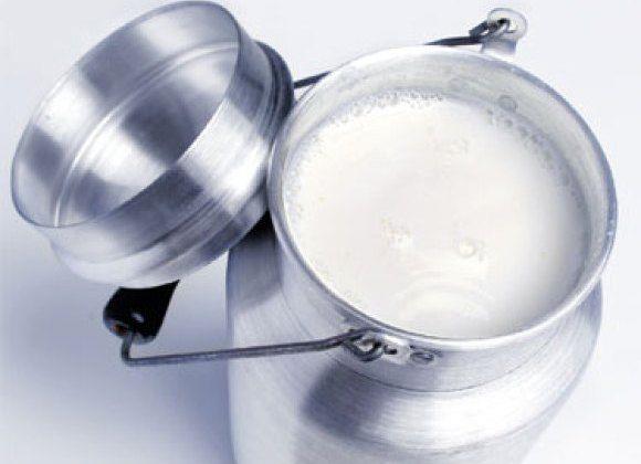 تولید 10 هزار تن شیر در شاهین‌دژ