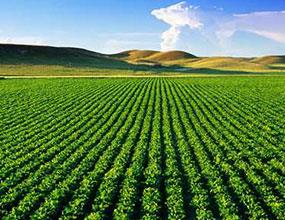 افزایش12 درصدی صادرات محصولات کشاورزی