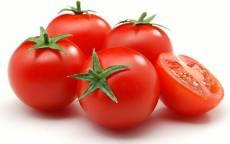 عمان، دروازه‌ صادرات محصولات کشاورزی به آفریقا و آسیای میانه/ رب گوجه‌فرنگی در خط مقدم صادرات قرار گرفت