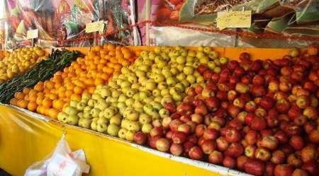 مدیرتنظیم بازار جهادکشاورزی سمنان: افزایش قیمت برخی میوه‌ها موقتی است