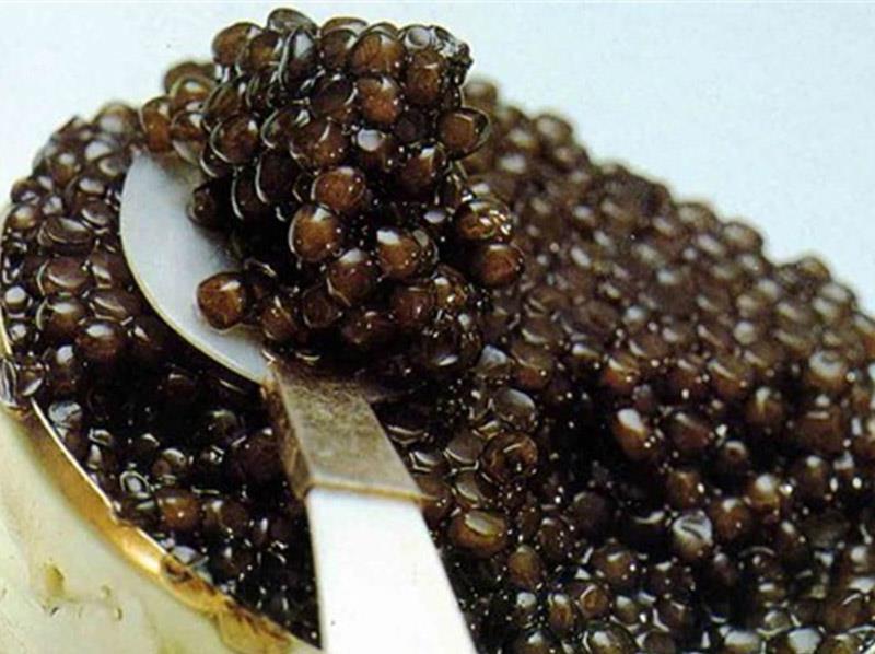 تولید انبوه ماهیان خاویاری، مروارید سیاه را ارزان می کند