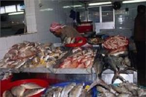 گشایش بازارچه عرضه مستقیم ماهی در بندرعباس