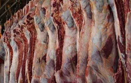 بررسی راهکارهای کاهش قیمت گوشت قرمز در البرز